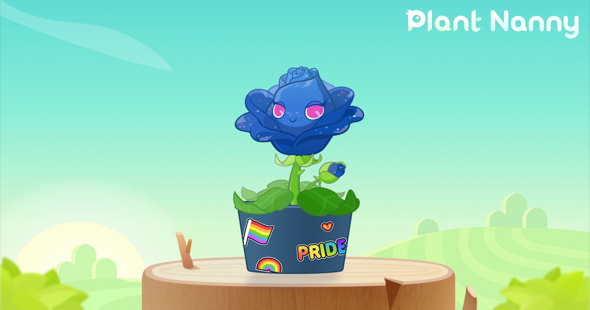 flowerシンギングリン宇宙⑤ China Pink Seeds (Dianthus chinensis) – Monticello Shop